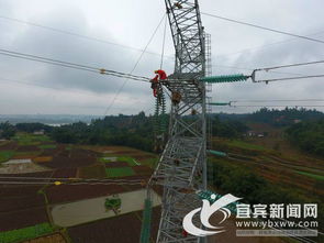 宜賓供電高質量發展 為建成全省經濟副中心注入強勁動力